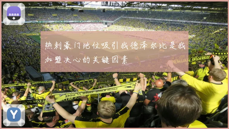 热刺豪门地位吸引我德泽尔比是我加盟决心的关键因素