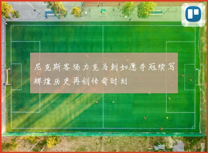 尼克斯客场力克马刺如愿夺冠续写辉煌历史再创传奇时刻